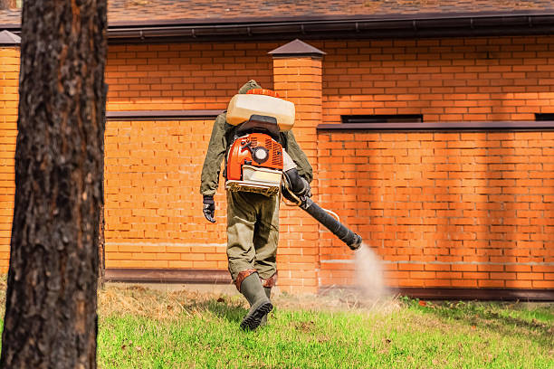 Trusted Bed Bug Control service in Truth or Consequences, NM - Nex Pest Control